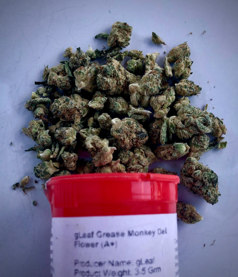 Grease Monkey by gLeaf