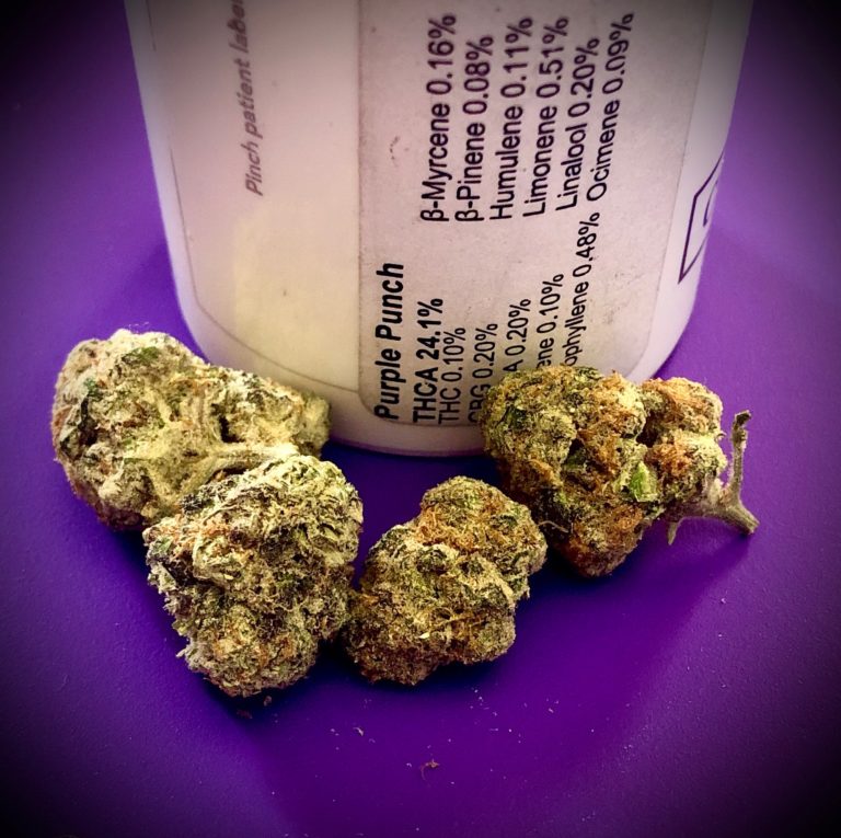 Purple Punch by Curio