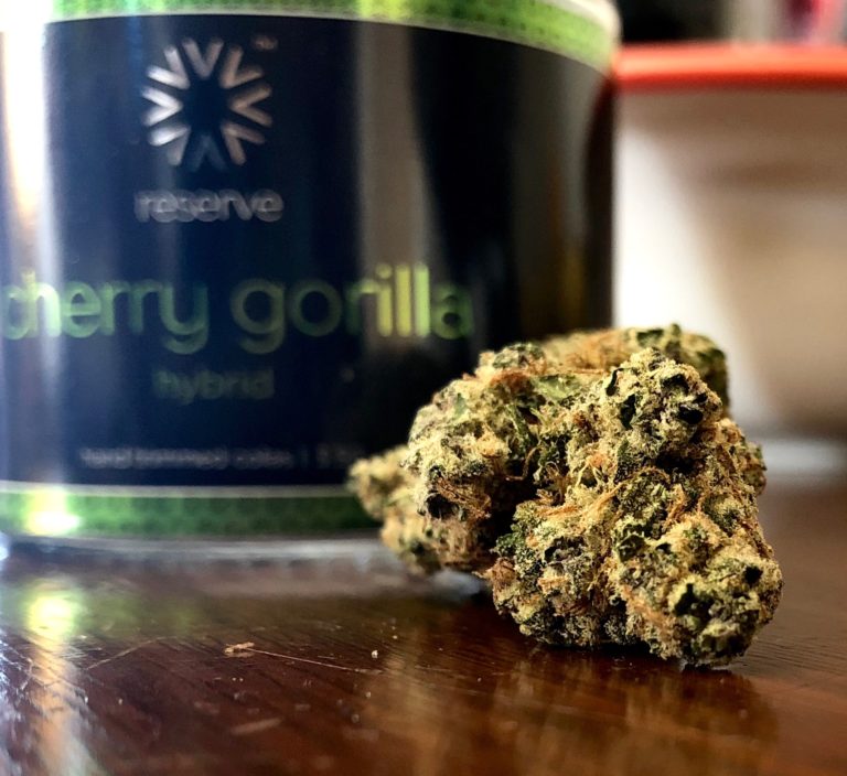 cherry gorilla by verano