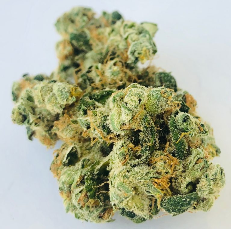 Carolina strain by Curio