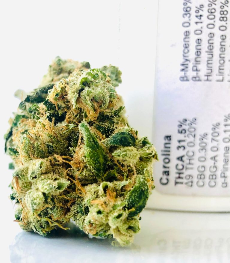 Carolina strain by Curio Wellness