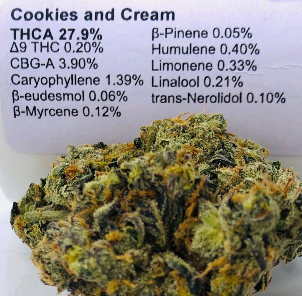 cookies and cream by curio