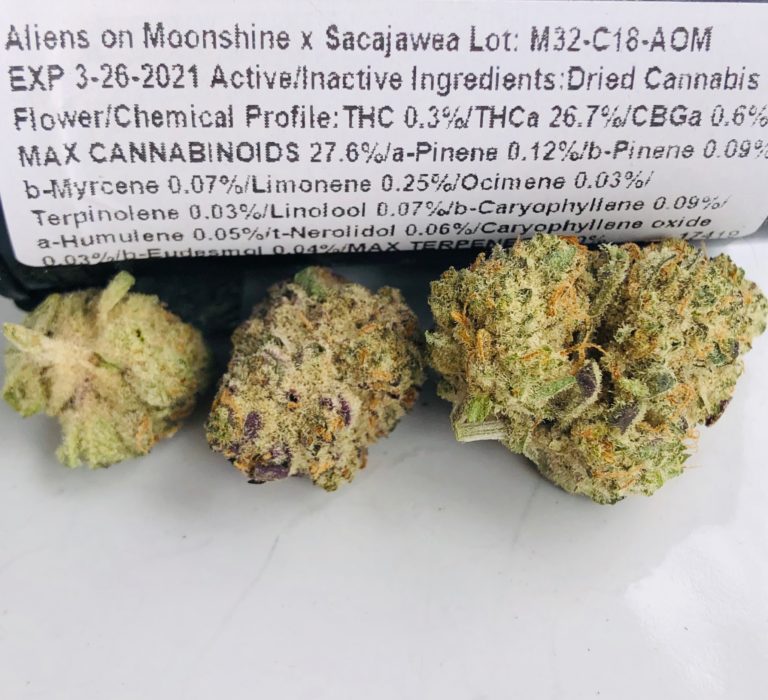 Aliens on Moonshine x Sacajawea strain