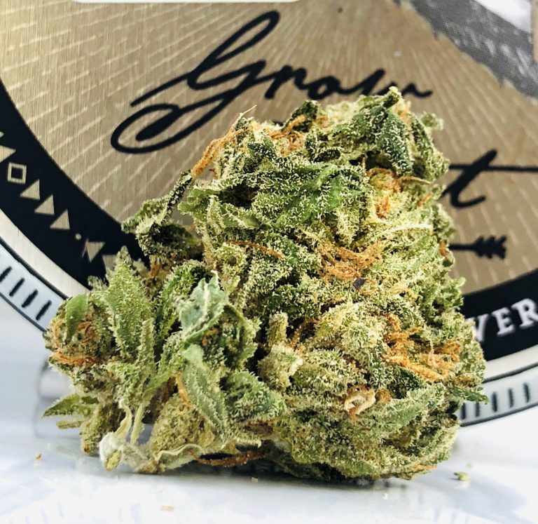 beautiful green leaves and red hairs of bud of cough og strain by grow west