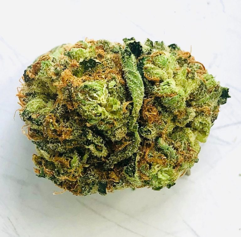 beautiful round shaped bud of sonny g strain by verano