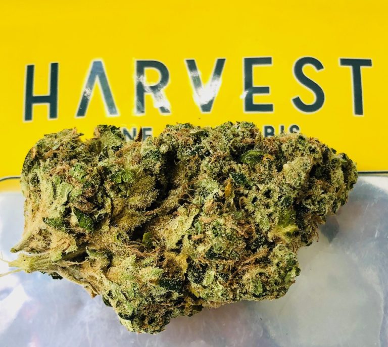 harvest sour diesel
