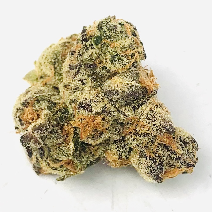 bud of pie crust strain by grow west on stark white background