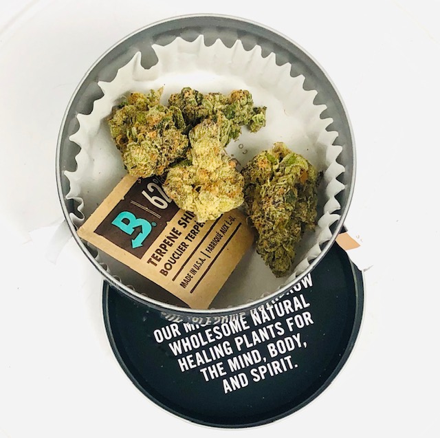 bird's eye view of pie crust and terpene shield in grow west container
