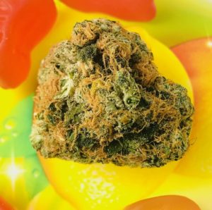 sour lemon bud by curio bud