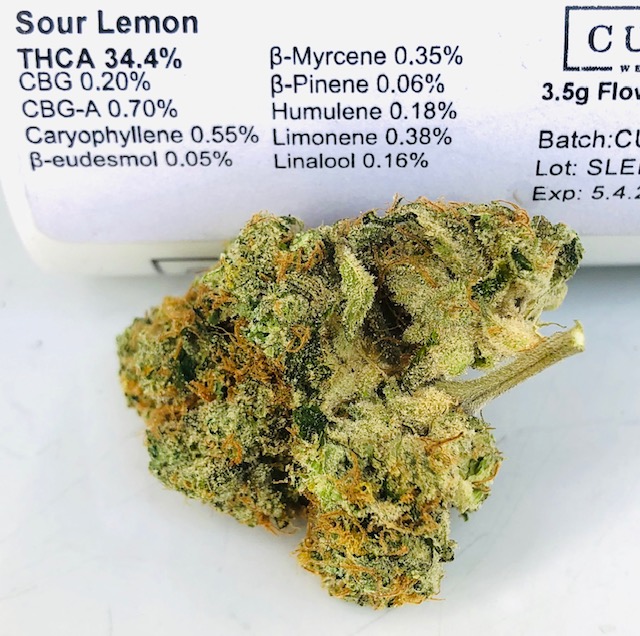 sour lemon by curio batch 2 terps