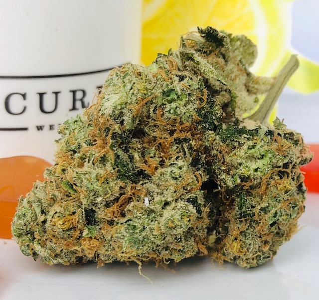bud of Sour Lemon strain by Curio Wellness