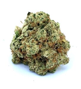 afghani bud with trichomes