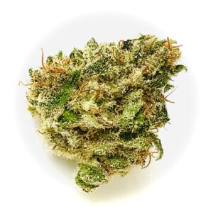 conical grandpas stash bud