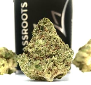 pyramid shaped bud of lemon grenades by grassroots