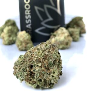 buds of lemon grenades arranged in foreground with grassroots container in background blurred