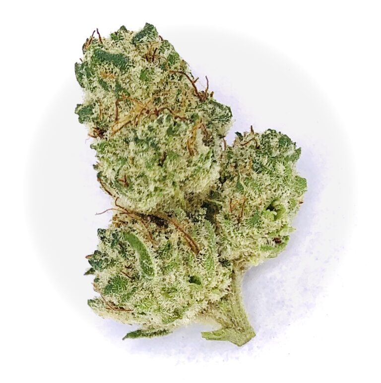 snow monster bud 2 alternate