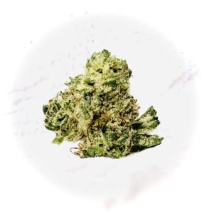 snow monster bud circular design