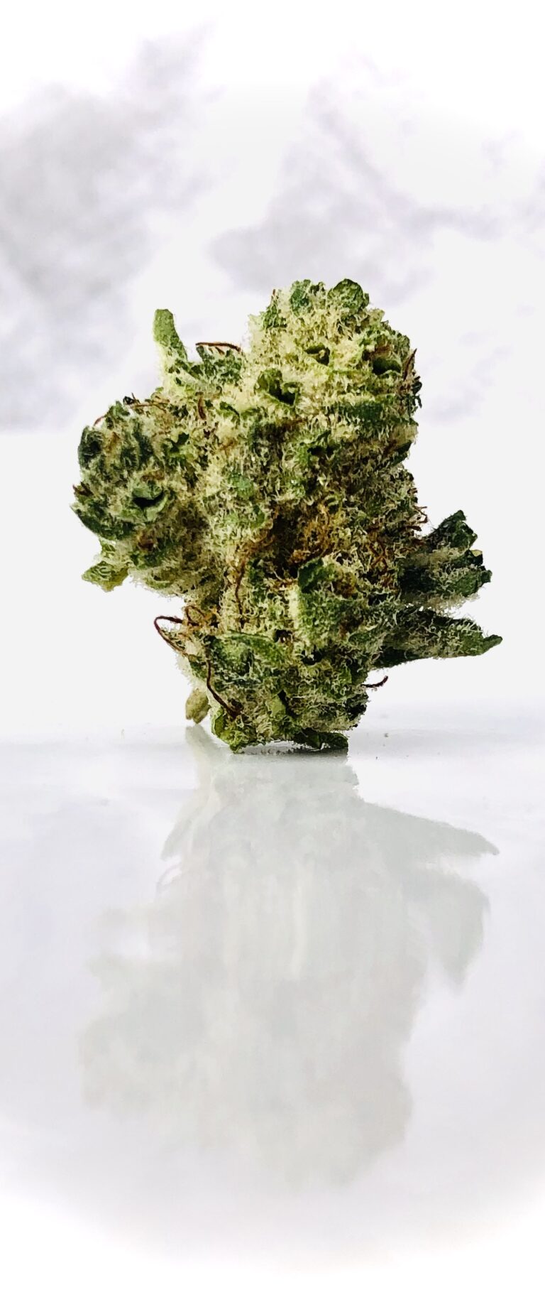 snow monster monster bud vertical 1