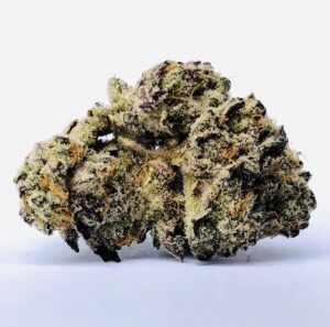 gorgeous bud of Dosidos #22-22 by culta
