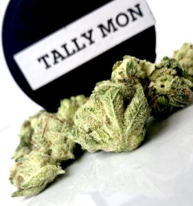 tally mon batch 1 buds