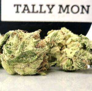 tally mon batch 1 buds closeup
