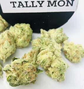tally mon buds alternate