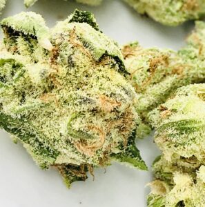 tally mon strain closeup