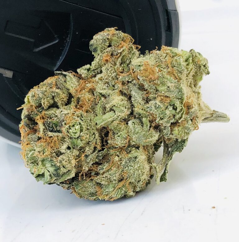 sour gorilla by curio