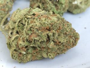 bud of pineapple kush by hms