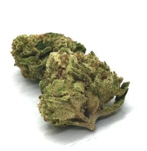 buds of element strain
