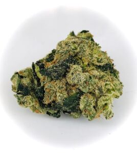 dark green bud of G6 Jet Fuel by Verano