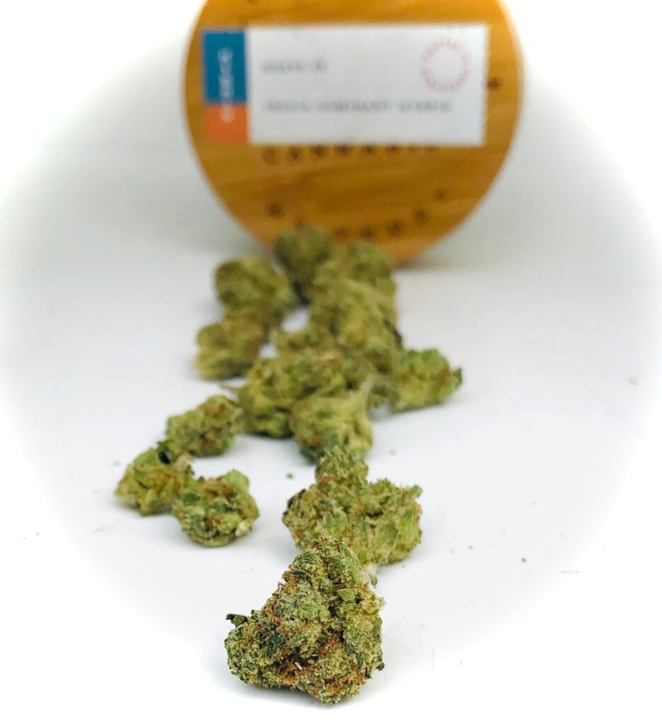 buds of guava ix strain