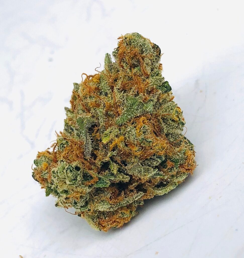 afghani looking bud of shoki x limepop