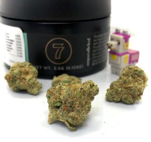 pinata buds by triple 7 with digital bitmappy pinatabot