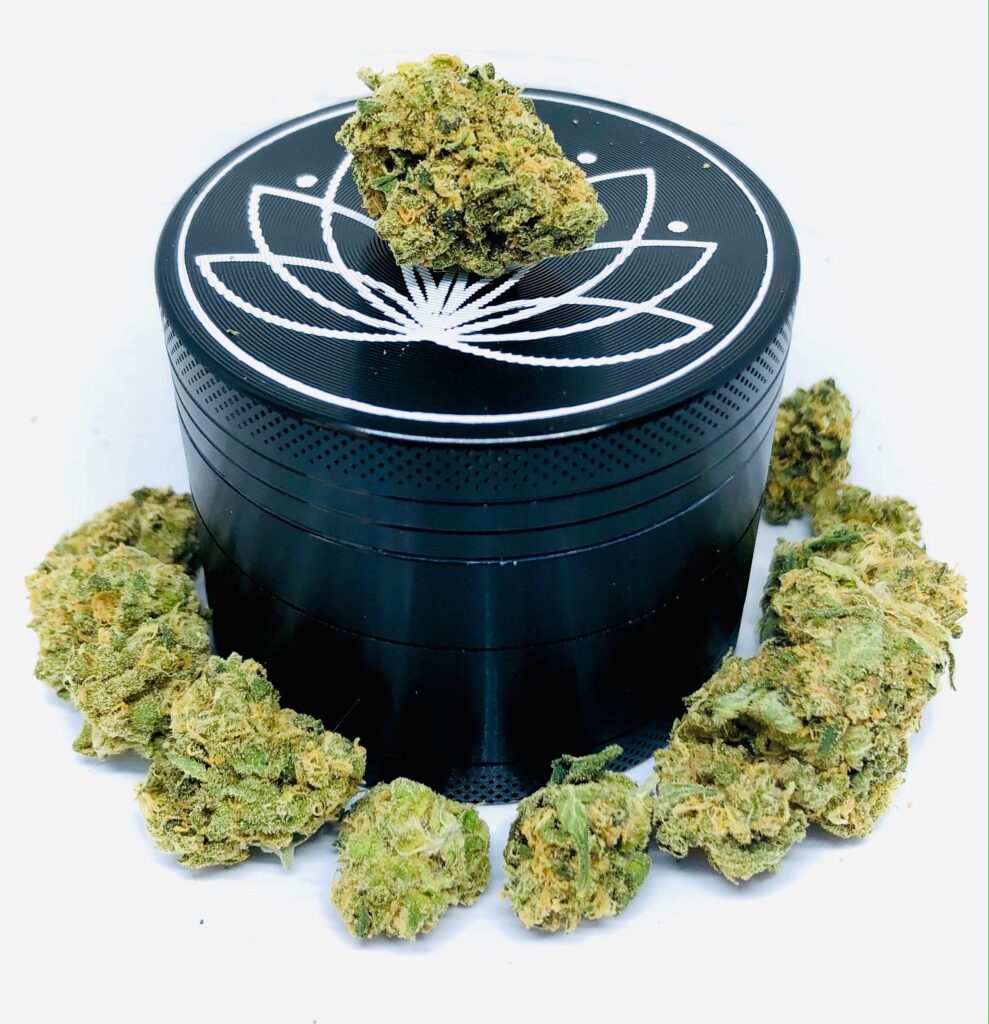 durban poison buds surround grinder with lotus leaf