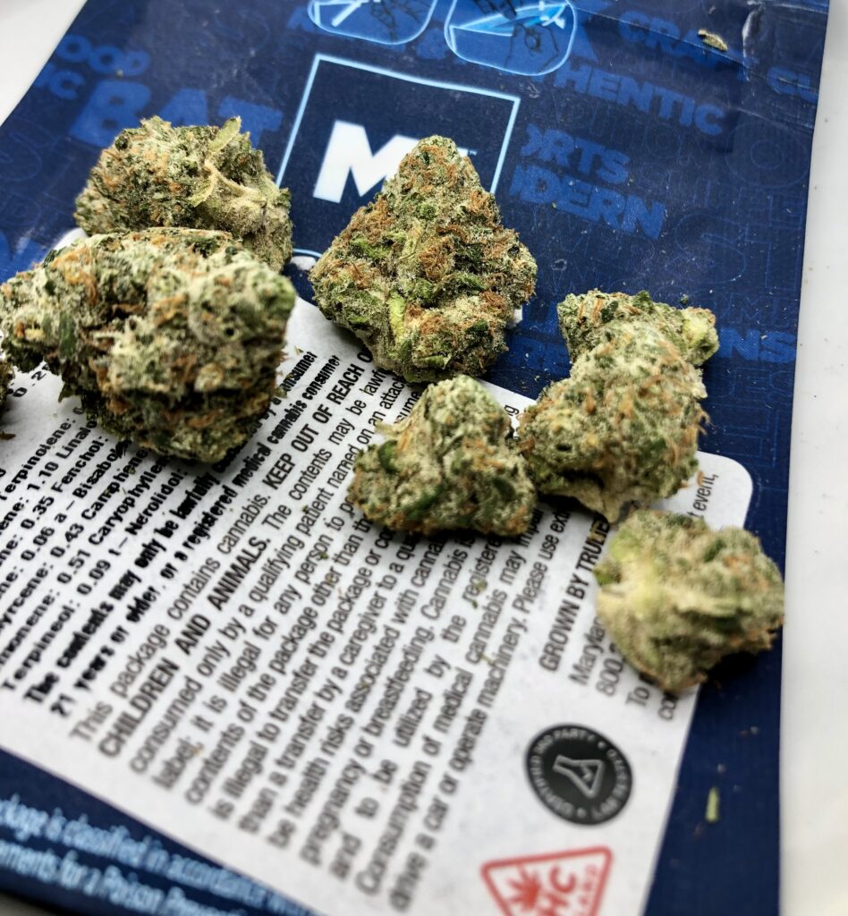 Northern Lights buds on modern flower ziplock